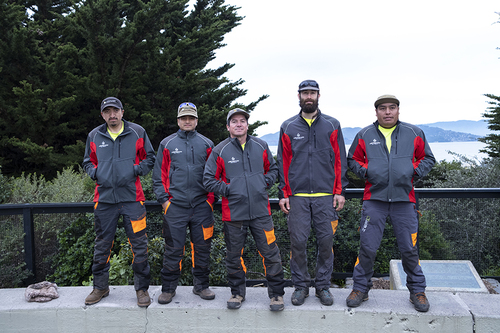 Our Expert Arborist Team in SF