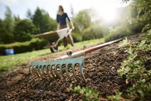 Active Gardening with Rake and Tools