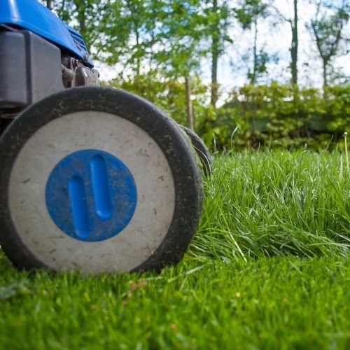 Expert Lawn Mowing Services in San Francisco