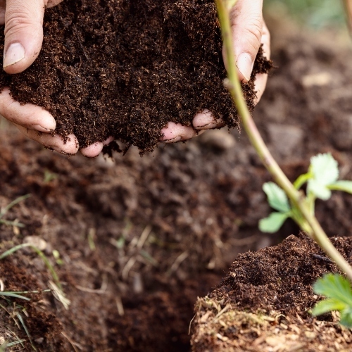 Soil Composition Analysis - SF Bay Tree Services