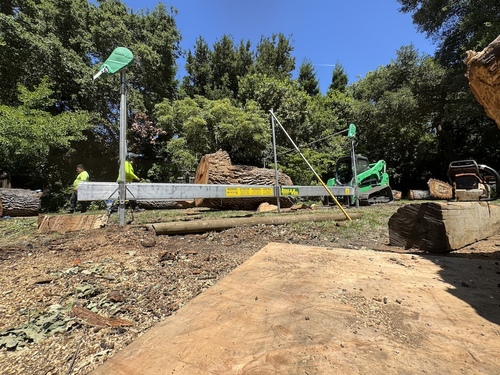 A group of tree removal workers posing in front of a large fallen tree with chainsaws and safety gear.