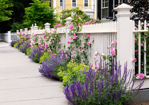 flower-lined fence