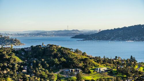 San Francisco Bay: Native Greenery
