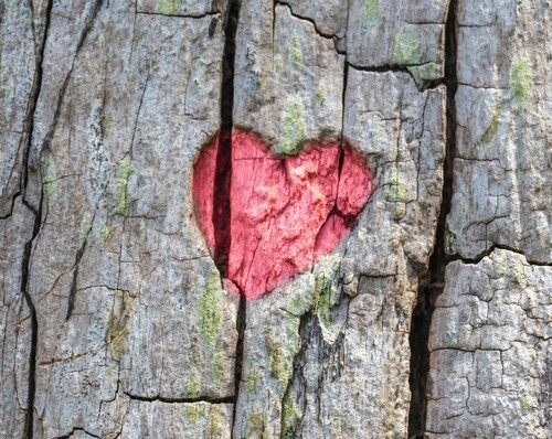 tree heart