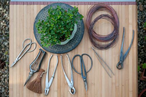 Essential Bonsai Tools and Supplies