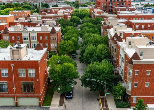 Urban Trees Cooling Neighborhoods