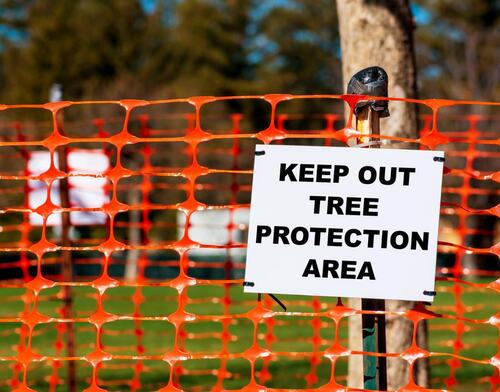 Tree Protection Area Warning Sign