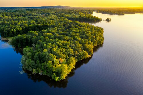 Forest Peninsula at Sunset Aerial View