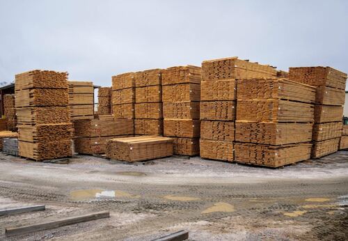 Lumber Yard with Stacks of Timber