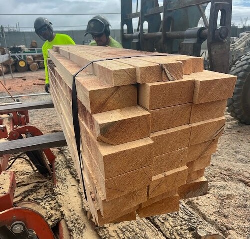 Workers Handling Freshly Cut Lumber at a Sawmill