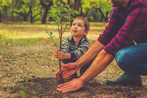 Planting Trees for a Greener Future