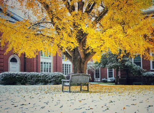 Autumn Splendor in San Francisco