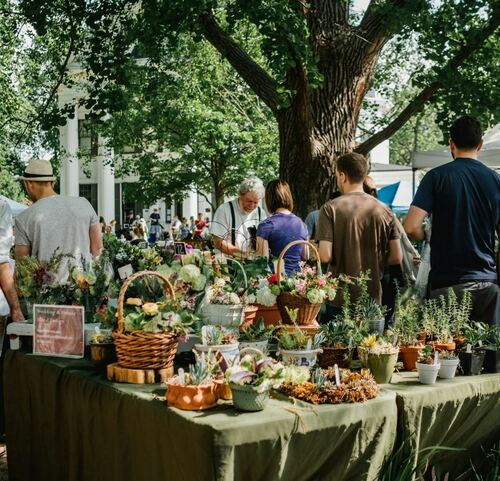 Outdoor Plant Market Day