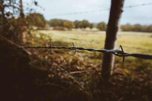 Barbed Wire in Countryside