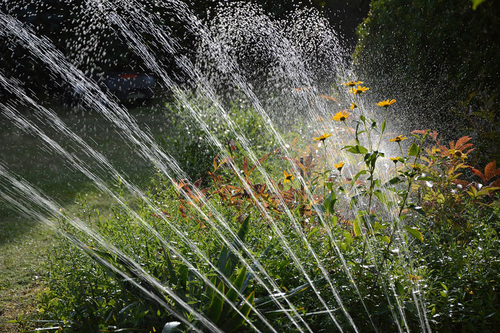 Garden Sprinkler System Waters Vibrant Flowers
