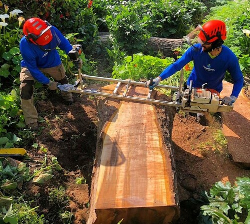 Precision Tree Milling by Arborist Now