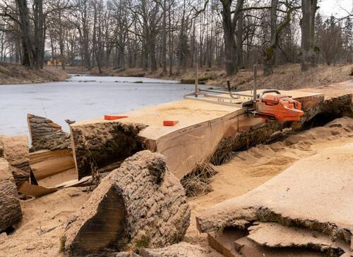 Chainsaw Milling by Arborist Now Near a River