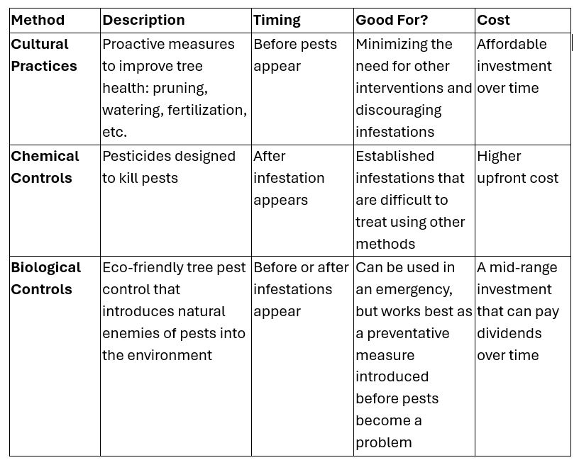 Tree Pest Control Methods: A Comparative Guide