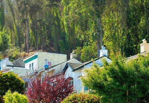 Homes with Verdant Hillside Backdrop