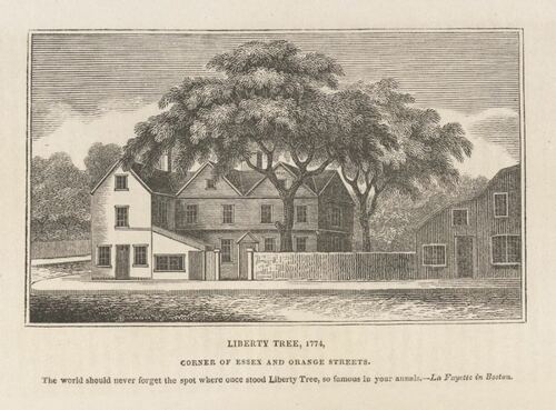 1774 Liberty Tree Engraving - Boston History