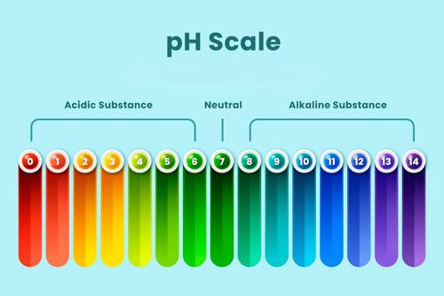 Understanding the pH Scale for Tree Health