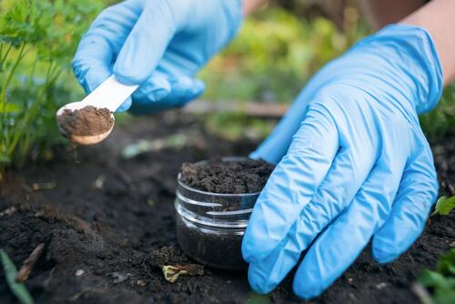 Soil Testing for Optimal Tree Health