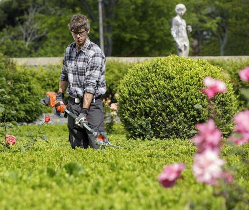 Expert Trimming Hedges in Garden