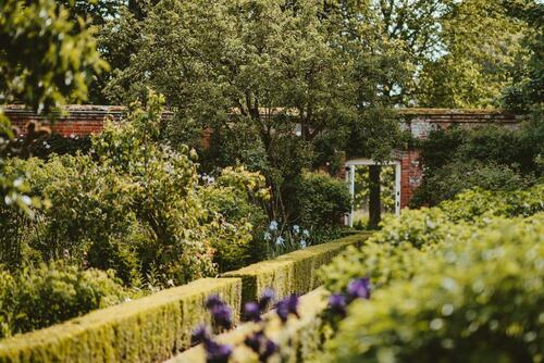 Elegant Garden with Brick Wall and Archway