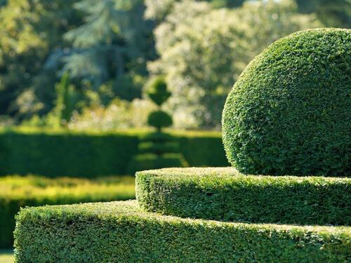 Perfectly Manicured Geometric Shrubs