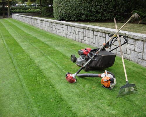 Professional Lawn Care and Maintenance Tools