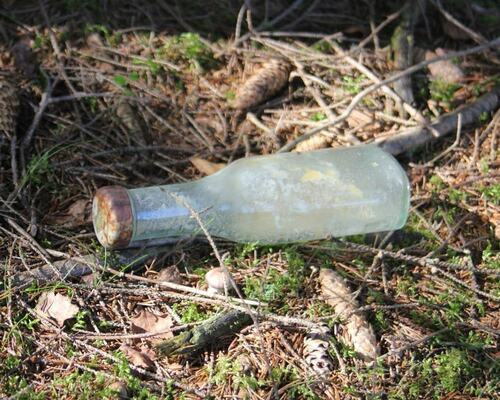 Litter in Nature: Importance of Clean-Up