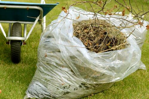 Yard Waste Bag and Wheelbarrow for Efficient Cleanup