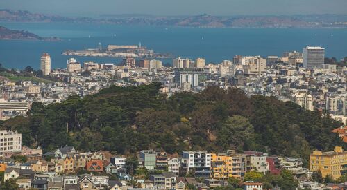 San Francisco Urban Tree Care | Arborist Now