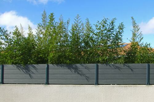 Bamboo Privacy Screen with Modern Fence