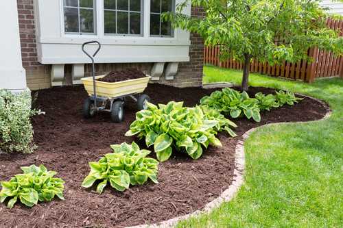 Beautifully Mulched Front Yard Garden Beds