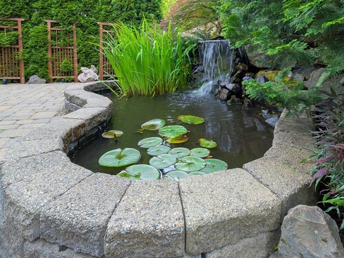 Elegant Backyard Pond with Waterfall Feature