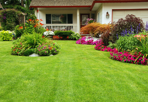 Beautiful Front Yard Landscaping - Arborist Now