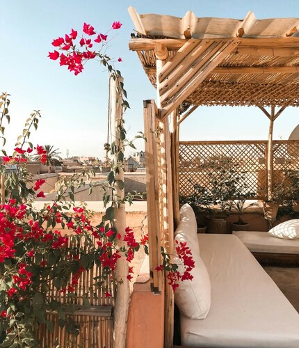 Beautiful Rooftop Garden with Red Flowers