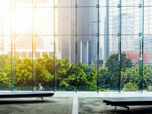 Urban Greenery Reflected in Glass Skyscrapers