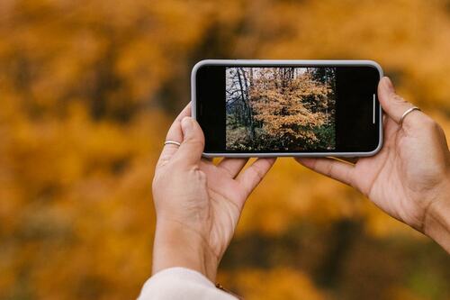 https://www.pexels.com/photo/crop-faceless-woman-taking-photo-of-scenic-autumn-park-5875899/