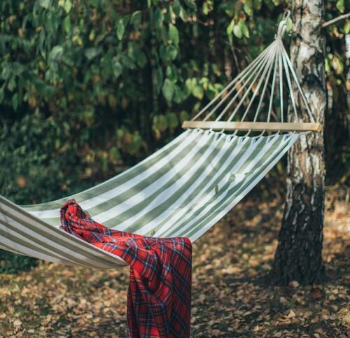 Relaxing Hammock in a Forest Setting