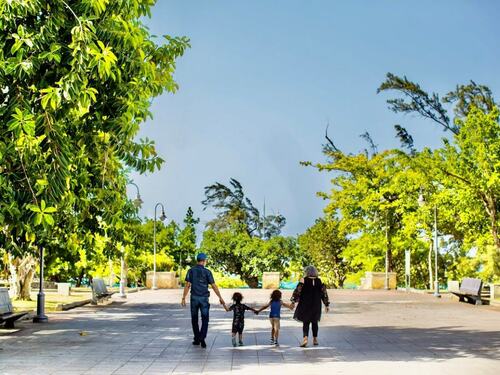 Family Strolls Through Tree-Lined Park Path