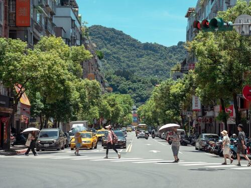 Busy Tree-Lined Street with Mountain Views