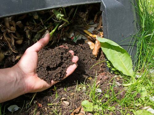 Composting: Turning Waste into Rich Soil