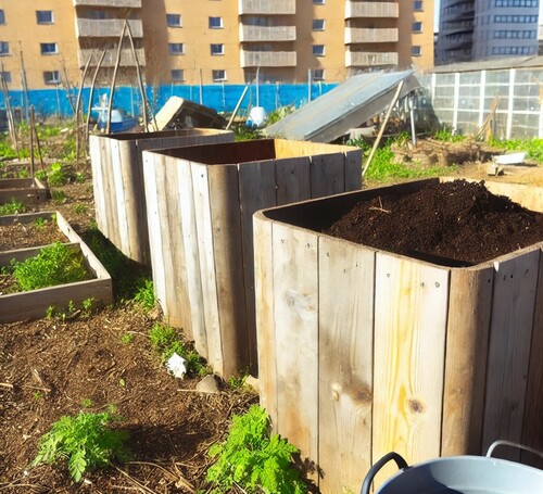 Wooden Compost Bins in an Urban Community Garden