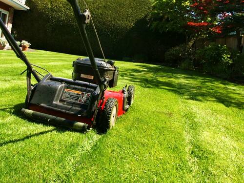 Lawn Mower Cutting Grass in a Backyard