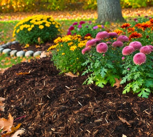 Fall Garden Mulched with Compost