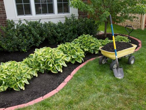 Landscaping with Hostas and Mulch