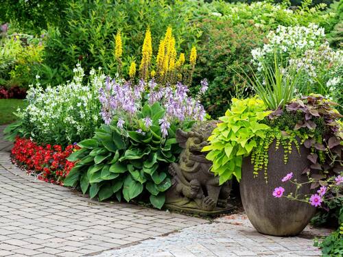 Colorful Garden Border with Potted Plants