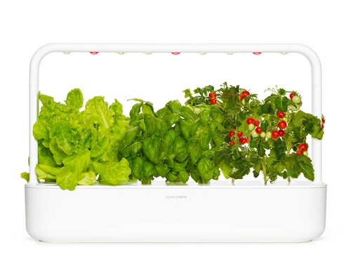 Smart Indoor Herb Garden for Fresh Greens